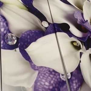 Meet your Posher, Tashiyah